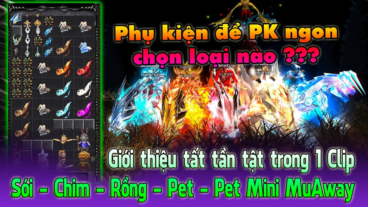 Tất cả các Loại Chim - Pet - Sói - Rồng - Mini pet của MuAwaY update chỉ số mới | Hoài Niệm Game TV