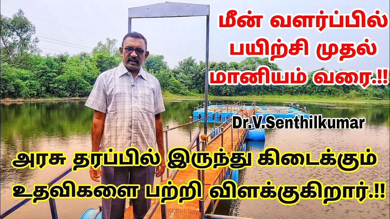 ஒரு முறையான மீன் வளர்ப்பு எப்படி செய்ய வேண்டும் | விளக்குகிறார் | Dr.V. Senthil Kumar | Fishery Dept