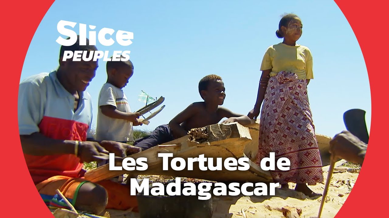 Madagascar : La Communauté Vézo et la Protection des Tortues | SLICE PEUPLES