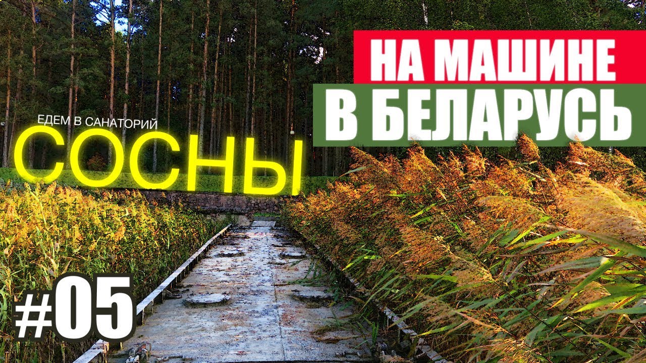 Беларусь | Автопутешествие на машине своим ходом | Едем в санаторий сосны на лечение | Жизнь ЯрЧе