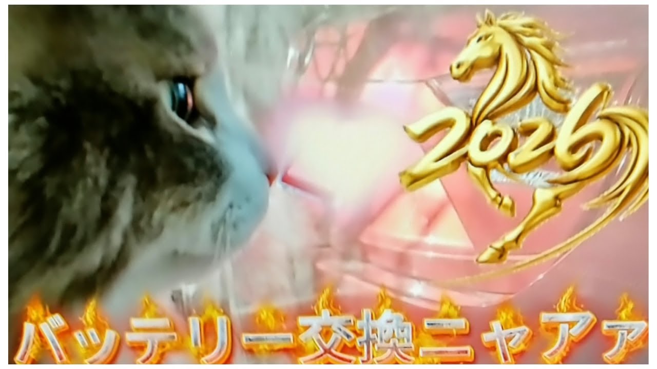 【車のバッテリー交換】（バッテリー交換は1:05～3:25）猫がやたらやる気満々だった😻参加を阻まれ判り易かった残念ミルクさん/費用色々概要覧ご参考/GSユアサQ-85⇒95へ（互換性OK）