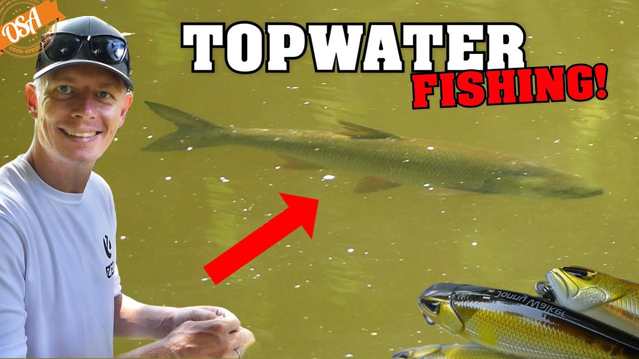 Fange das TRIPLE mit TOPWATER Köder! OSA in Mission Angeln