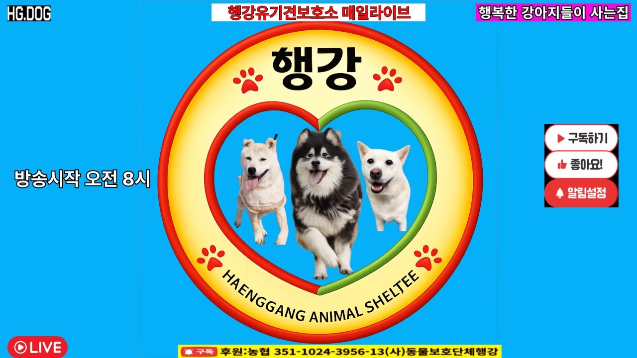 행복한 강아지들이사는집. #밥묵자 #행강유기견보호소.#유기견 #유기견입양 #강아지#강아지입양#동물보호 #동물복지