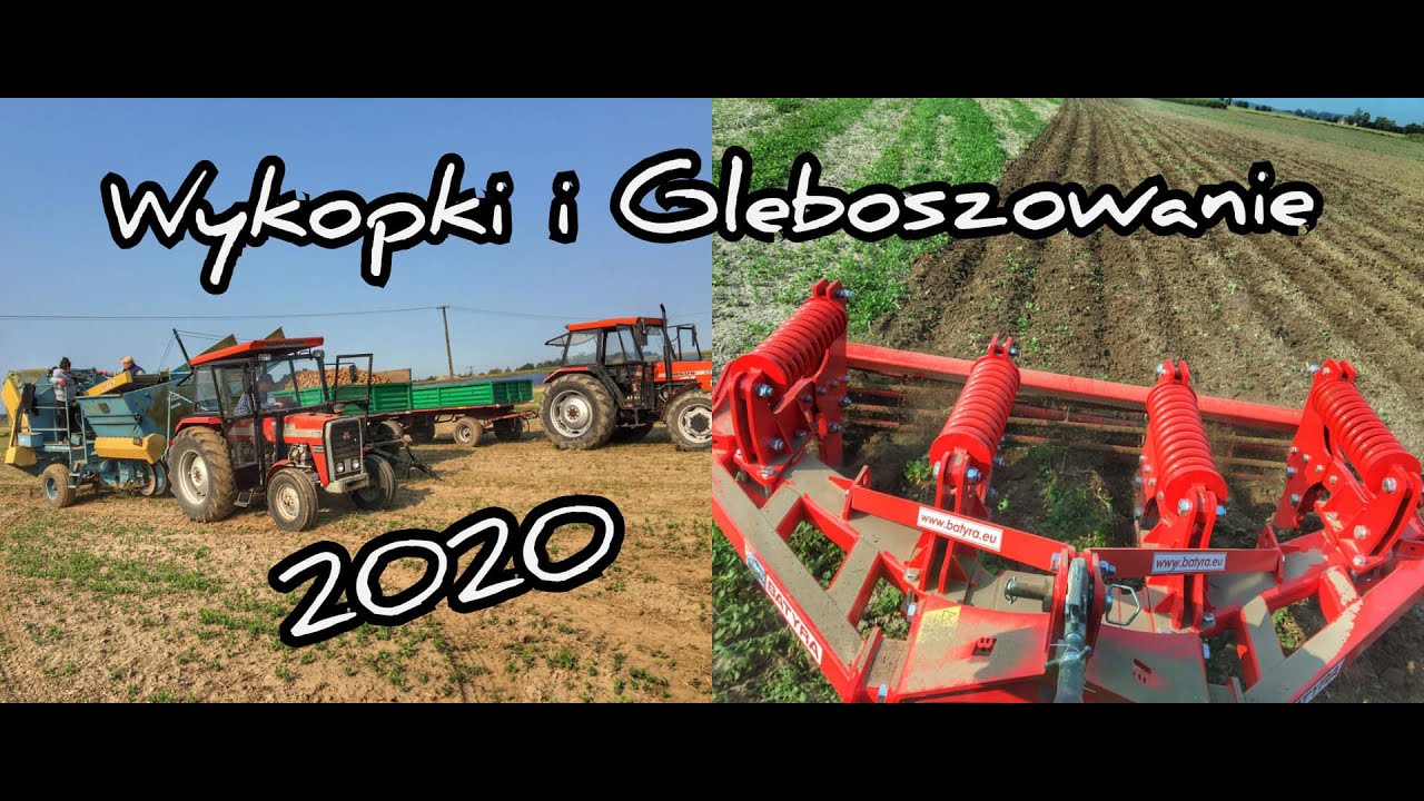 VLOGAS! Wykopki Ziemniaczane, Głęboszowanie po Rzepaku,Dziewczyny na Annie