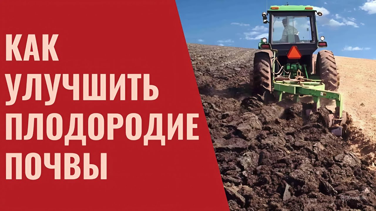 Как ПОВЫСИТЬ ГУМУС  и ПЛОДОРОДИЕ почвы. Севооборот. Обработка почвы. Удобрения.