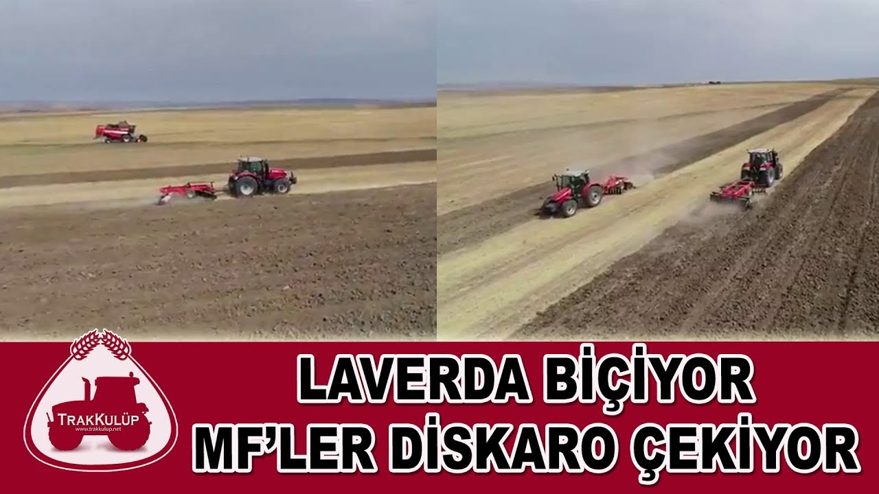 Biçimden Hemen Sonra Diskaro Çekiyor