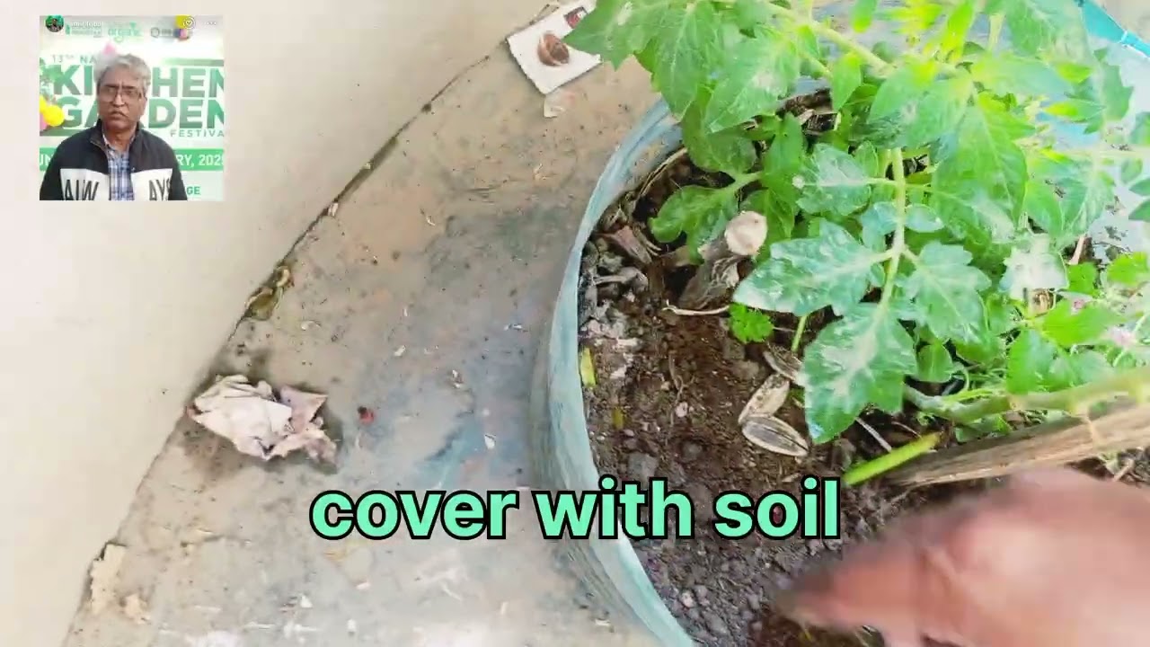 کچن ویسٹ کمپوسٹ کو استعمال کرنے کا طریقہ how to use kitchen waste 28-2-2026