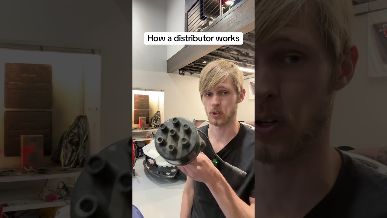 How a Distributor works #projectcars #classiccars #carbuilder #cartok