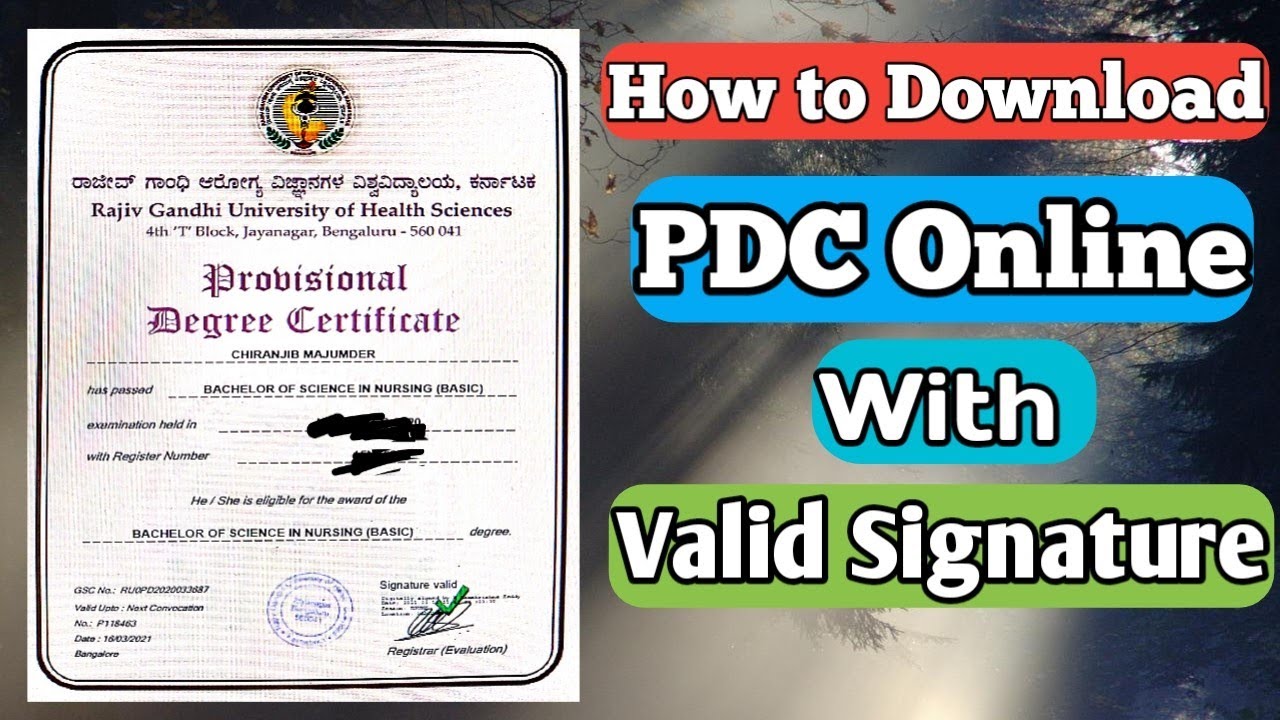 How to download professional degree certificate online