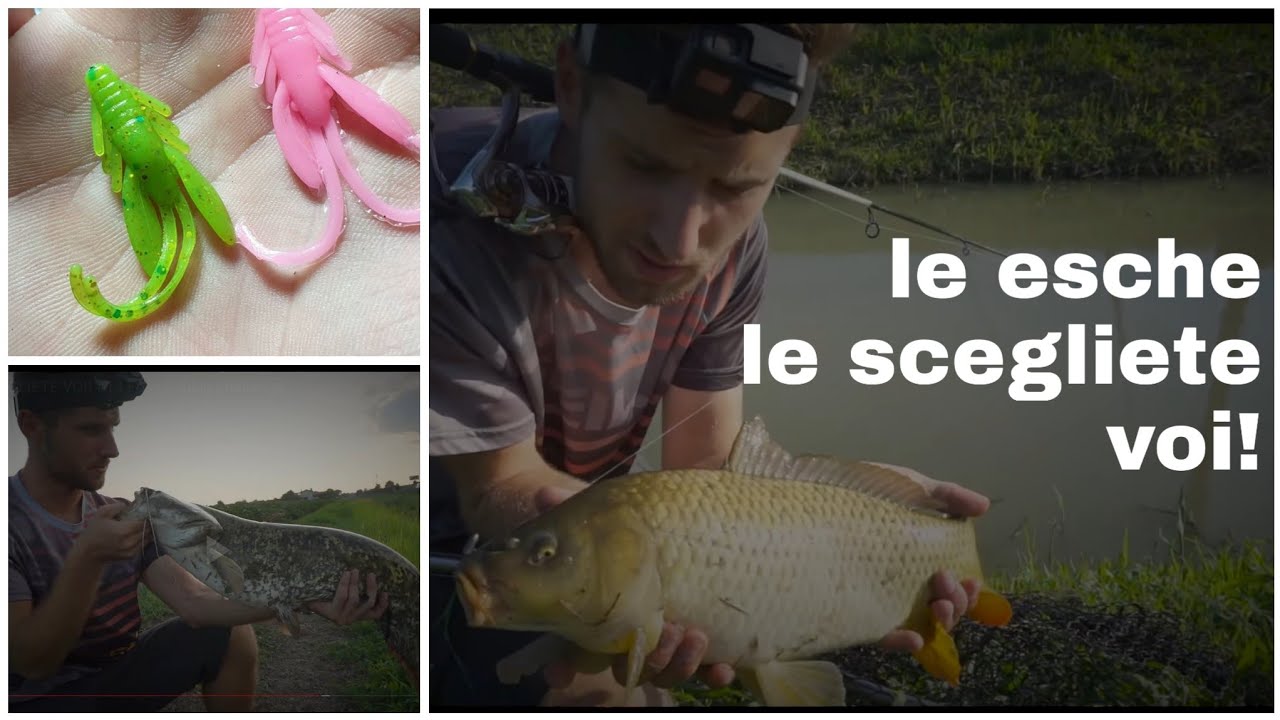 LE ESCHE LE SCEGLIETE VOI! #14 Foss fishing challenge