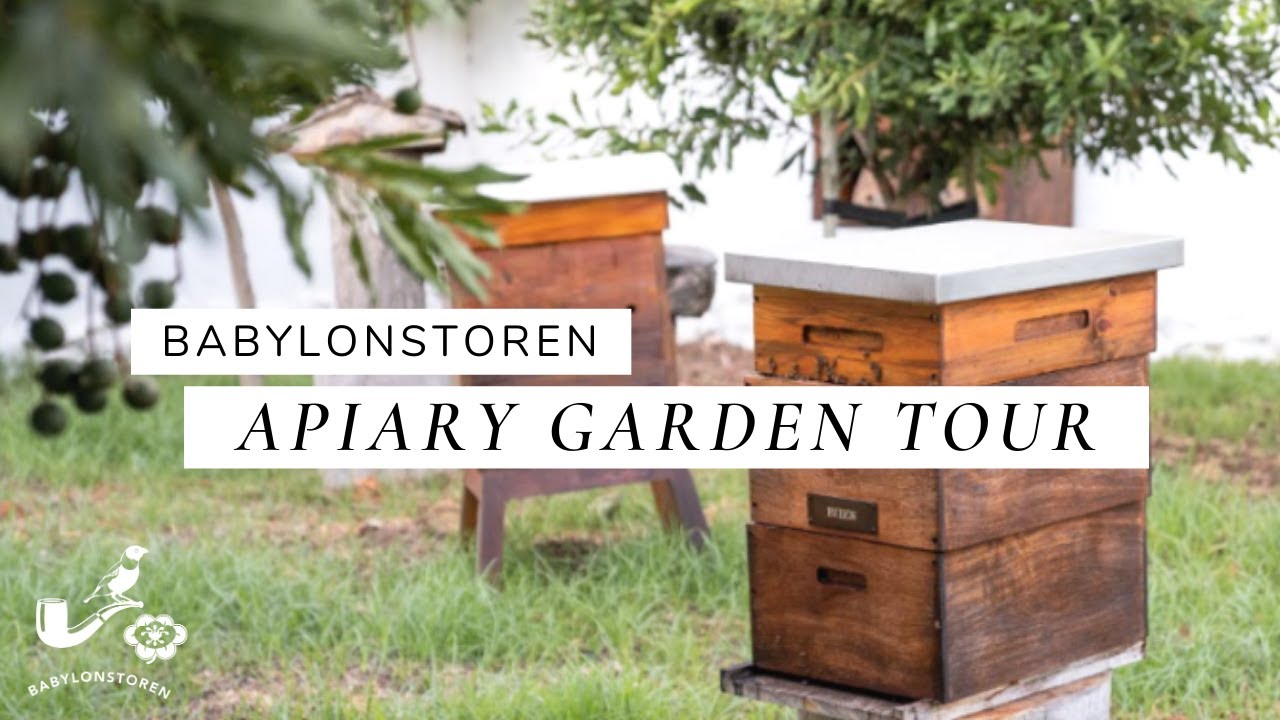 Beekeeping - Babylonstoren's Apiary Garden Tour