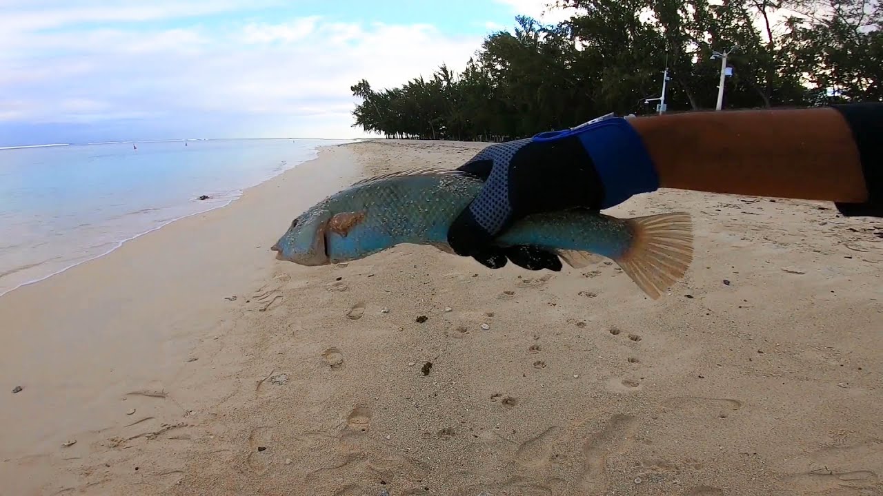 FISHING with SOFT PLASTICS at FLIC EN FLAC Beach MAURITIUS