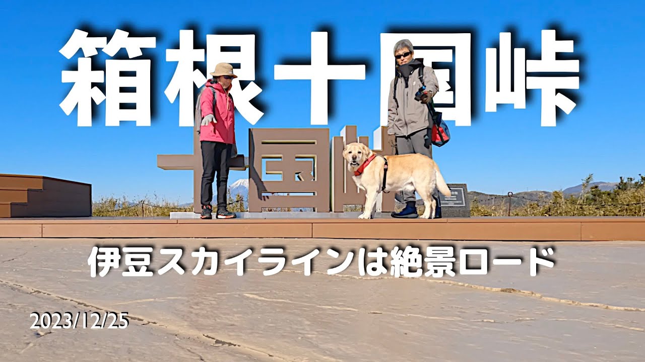 2023年の最後は箱根十国峠と伊豆スカイライン　「人も犬もシニア」の伊豆高原移住生活