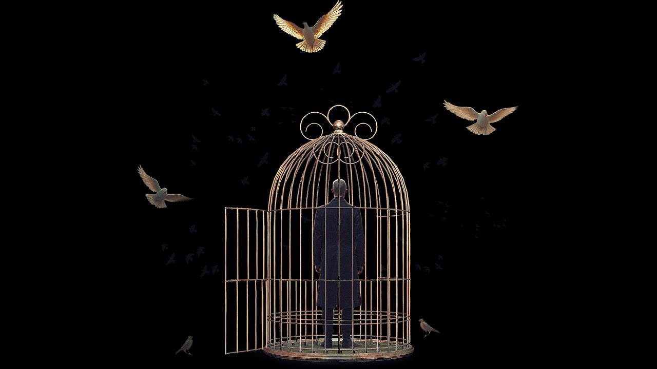 FREE WILL