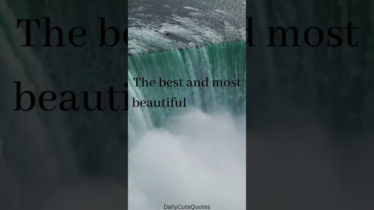 You will Regret in Old Age _ Quotes Which Are Better To Be Known