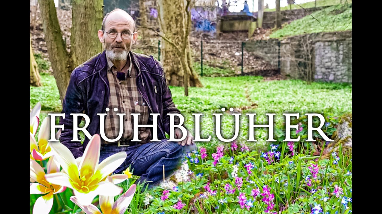 Frühblüher im Alten Botanischen Garten von Göttingen