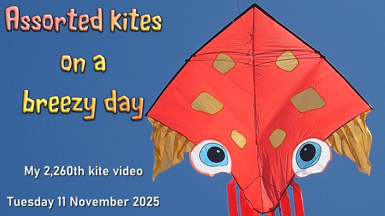 Assorted kites on a breezy day