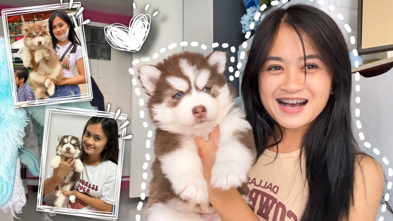 FINALLY! I Got A New Puppy! | Vlogmas ‘22 Day 7 | Sai Datinguinoo