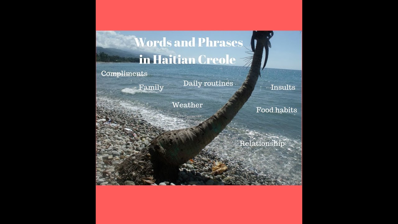 Haitian Creole _ Most Popular Words and Phrases  Video 5