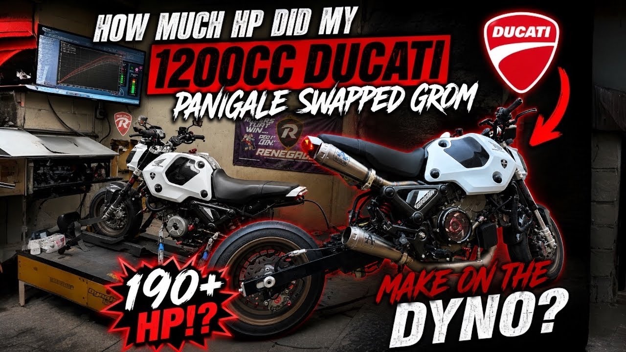 I Put My 1200cc Ducati  Swapped  HONDA GROM On the DYNO!