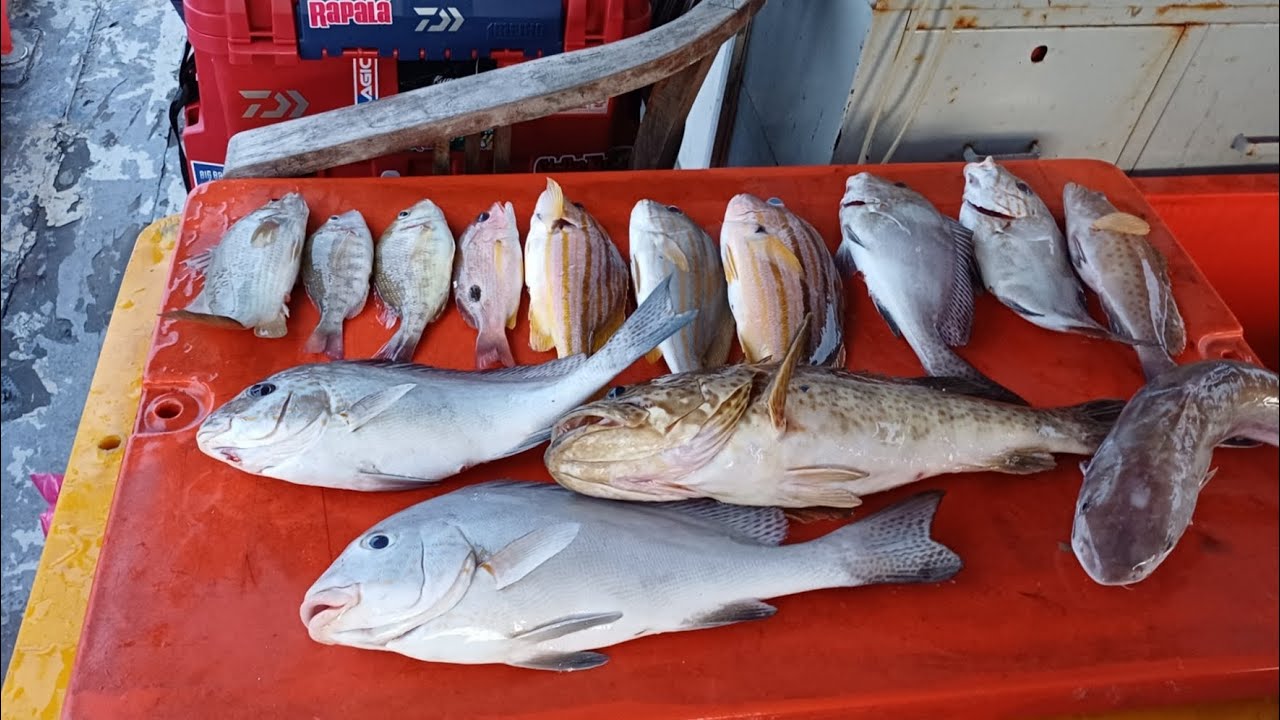 22nd Nov 2025,Night boat fishing. BOAT Zul #fishing #nightfishing #baitfishing 