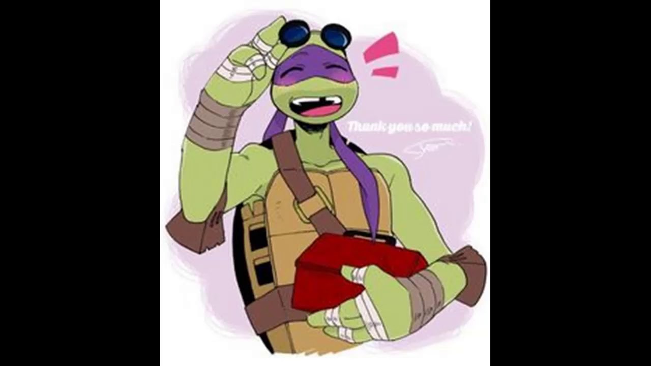 Помощь с домашним заданием — TMNT 2012 Donatello X Reader Oneshot | Райдер Уорнер