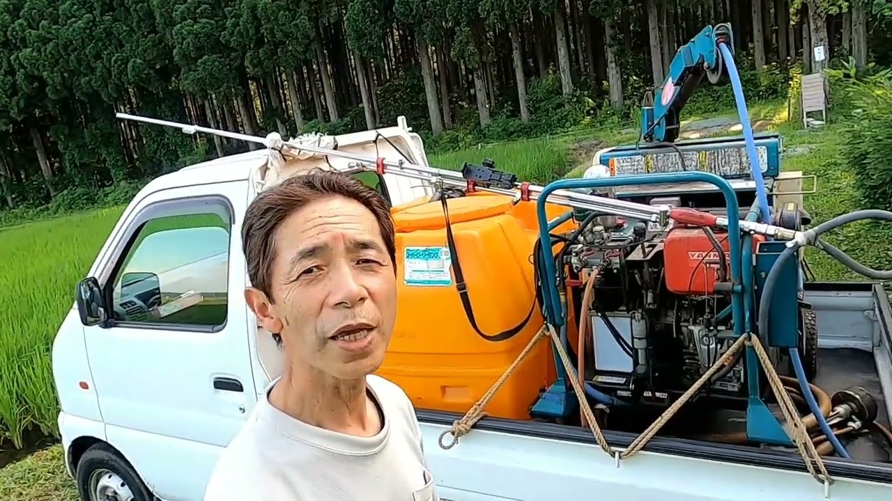 稲、病気発生!?