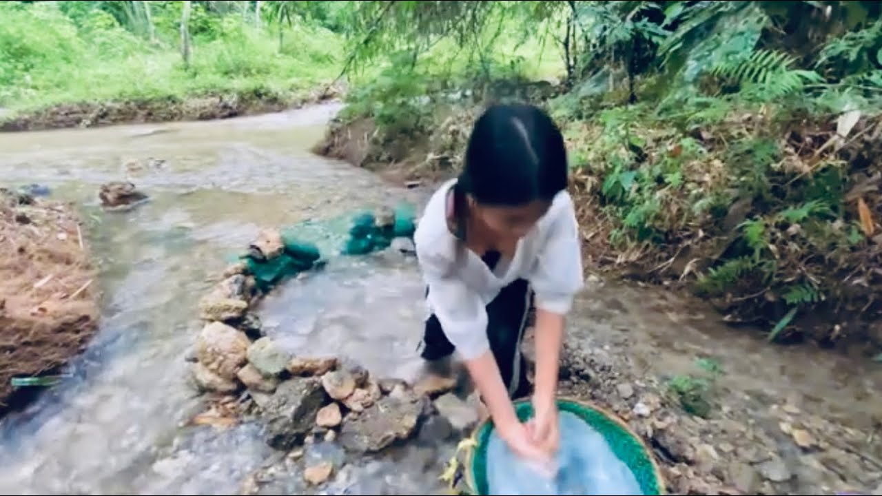 Fish Trap By The Deserted Stream - The Adult Journey Of An Orphan Girl #orphan #girl #gish 