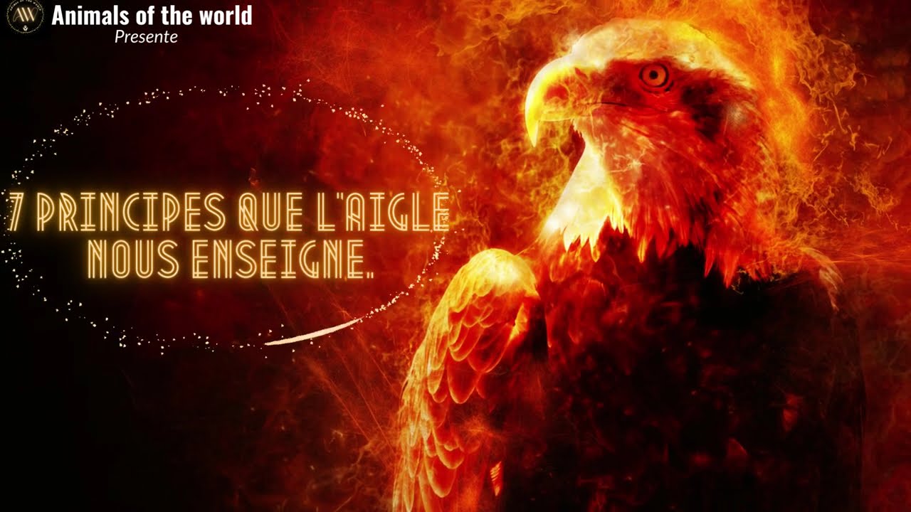 7 principes que l'aigle nous enseigne.
