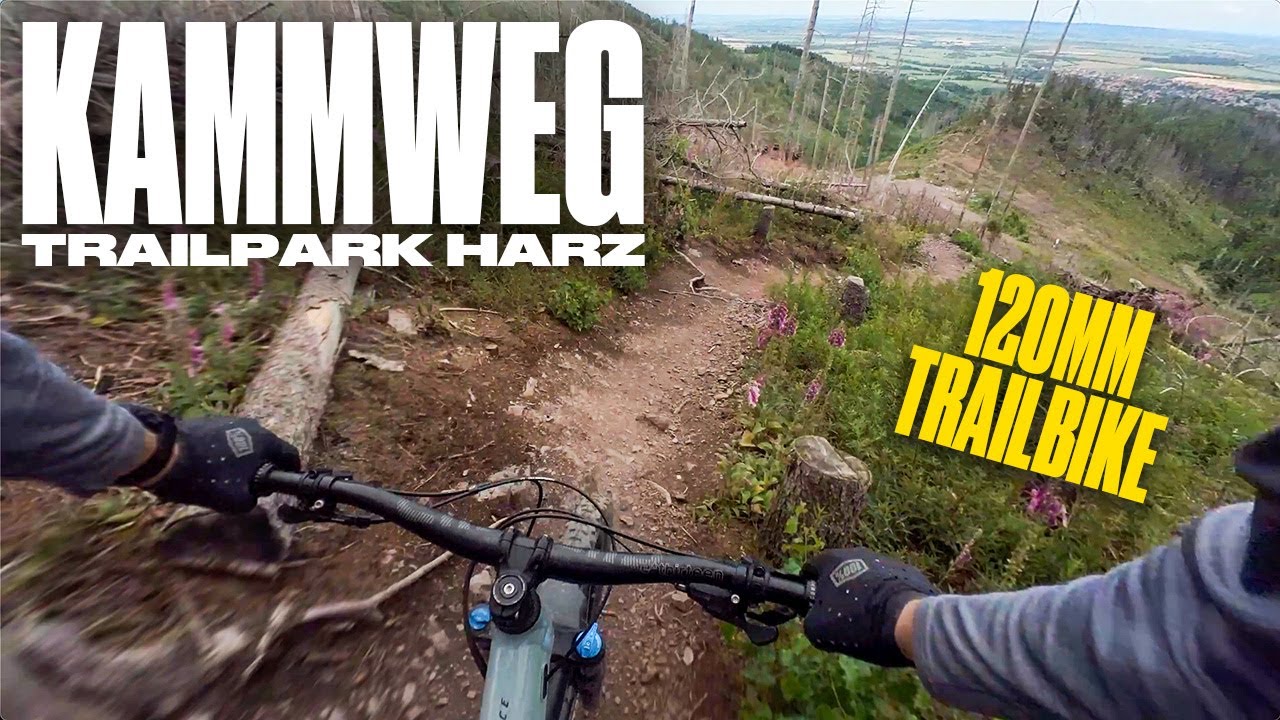 Trailpark Harz 🔴 | Kammweg mit 120 mm Trailbike | Giant Trance 2 | Juni 2024