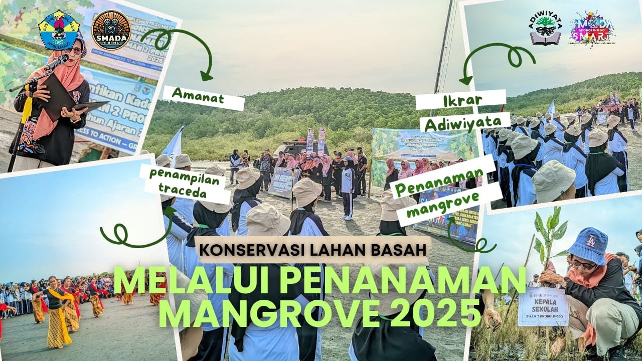KONSERVASI LAHAN BASAH | MANGROVE 2026_SMAN 2 PROBOLINGGO