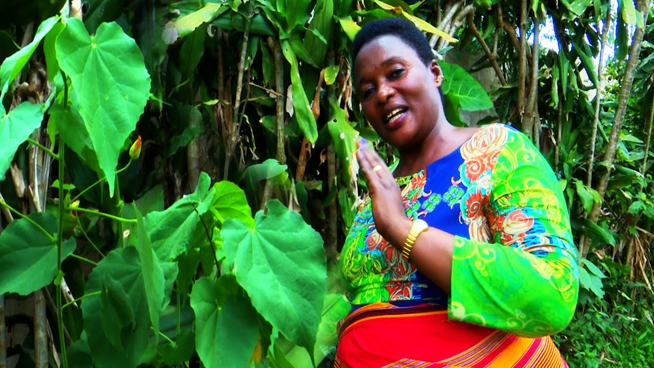 Edagala ne Senga Kulanama - Okukyusa oluzalo ng'okozesa Herbal