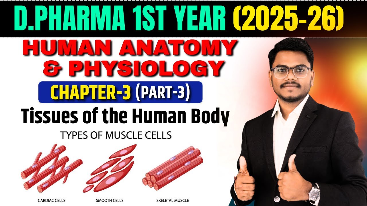 D.Pharma 1st Year Human Anatomy & Physiology | Chapter-3 Part-3 | Tissues of the Human Body