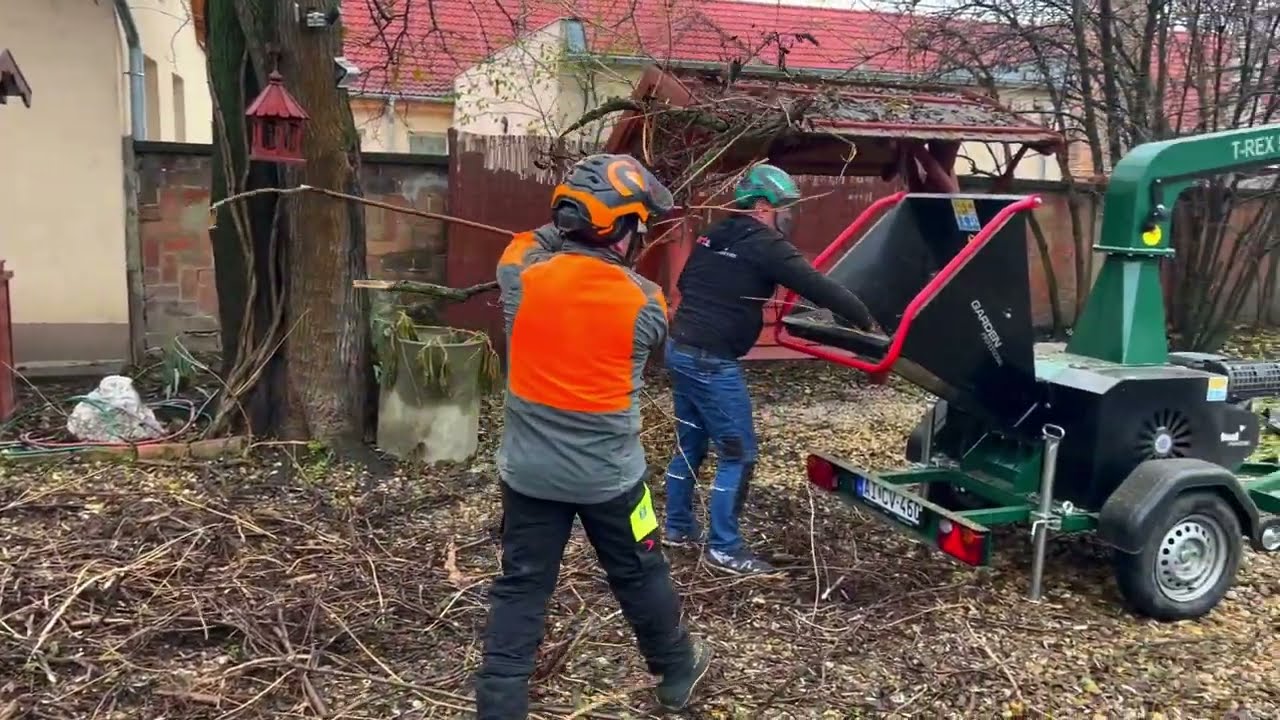 artSteel T-REX 500 (apró összekuszálódott gallyak eltakarítása)