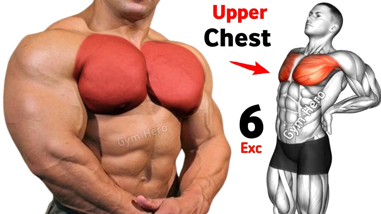 6 Effective Upper Chest Exercises for Massive Chest Growth