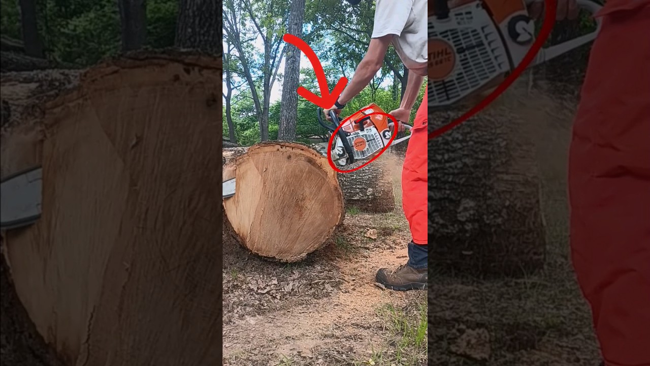 THE BEST CHAINSAW EVER!!😳 STIHL MS661 MAGNUM!!💥💥
