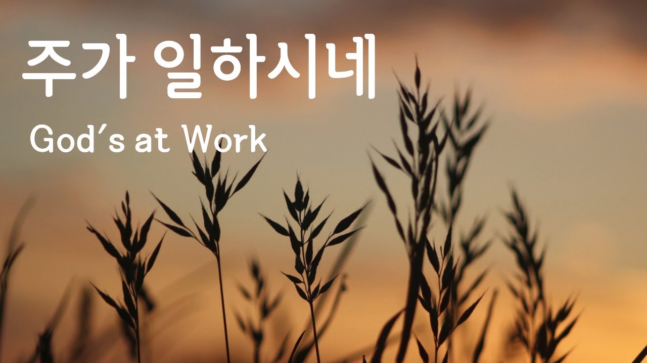 첼로 찬양 - 주가 일하시네 God's at Work / Cello Praise