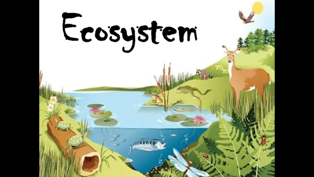 ઇકોસિસ્ટમ | Ecosystem | Gujarati | Proliferation of Science
