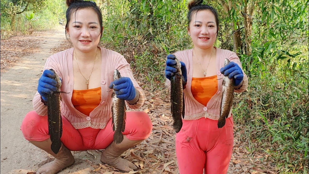 Thăm lờ cá trong rừng dính toàn cá lóc đen thui nó lôi cái lờ chạy như cá lóc ma.