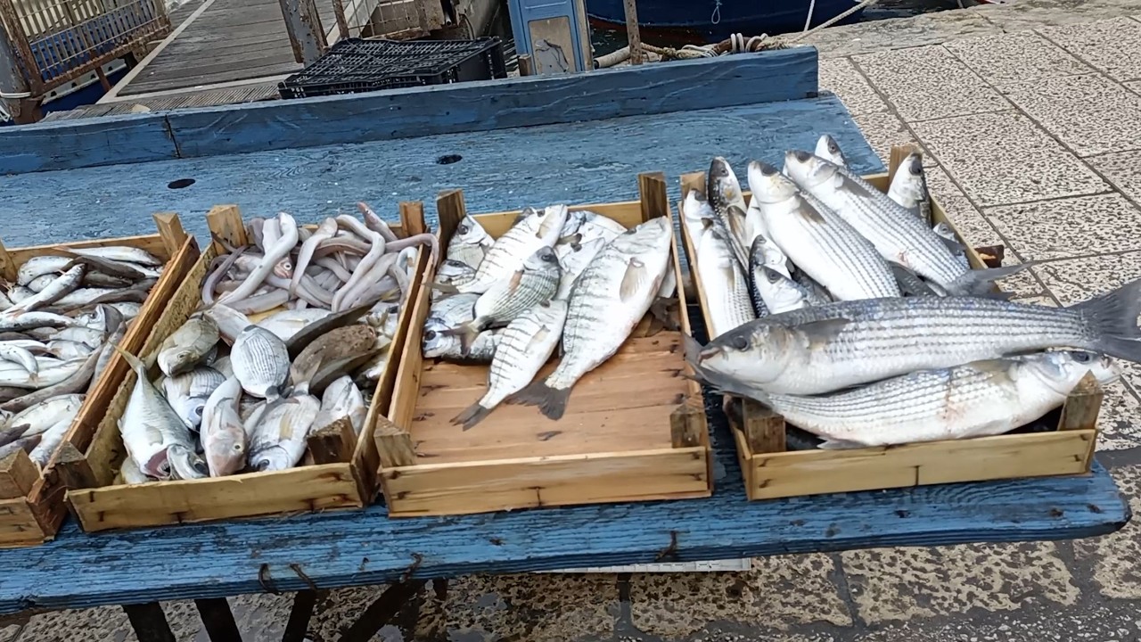 4K EU - Italy - Sicily - Trapani - Day 9 - Photo album