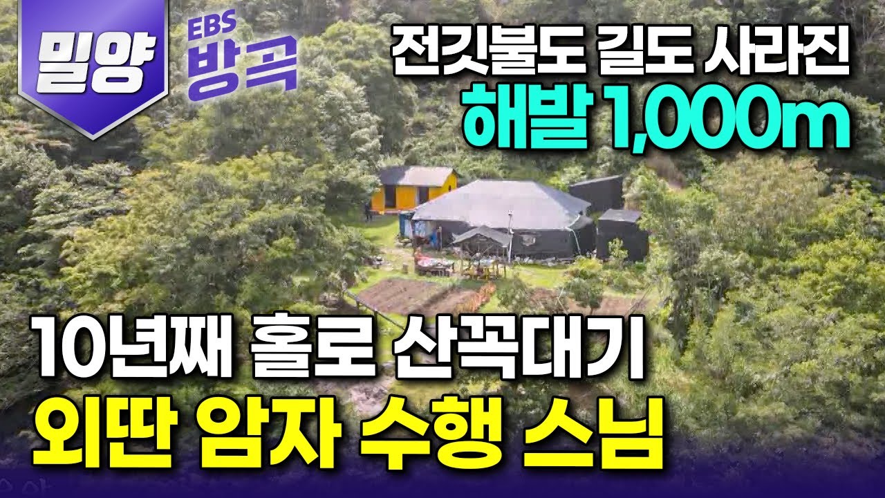 [경남 밀양] 