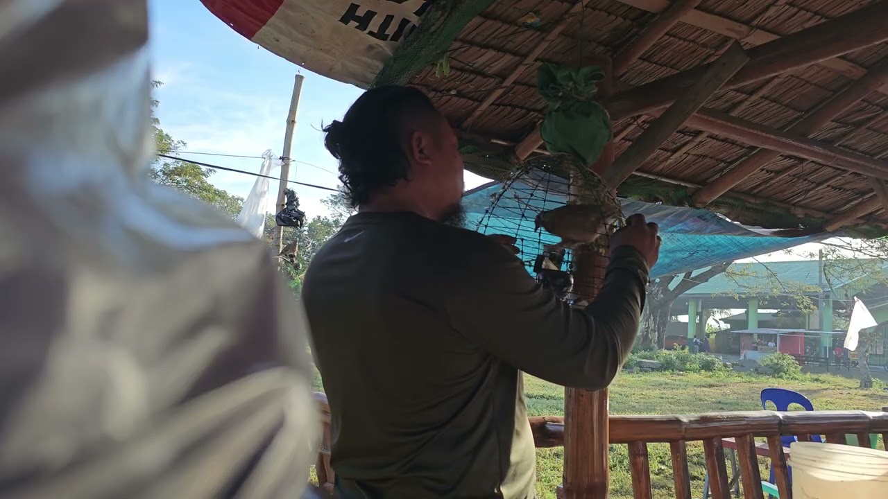 Iingatan Kita Ikaw Na Pamana Sakin Ni Papay Roky
