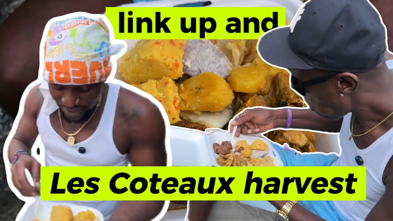 Les Coteaux собирают урожай и присоединяются к #loveindehouse #caribbean1vlogger #tobago