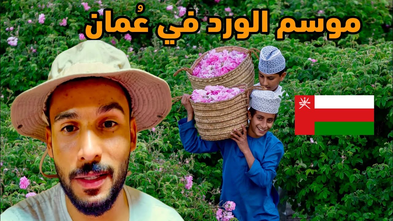 ماذا تعرف عن الجبل الأخضر و الورد في عُمان🇴🇲 ؟! و لا في الخيال موسم الورد 😍