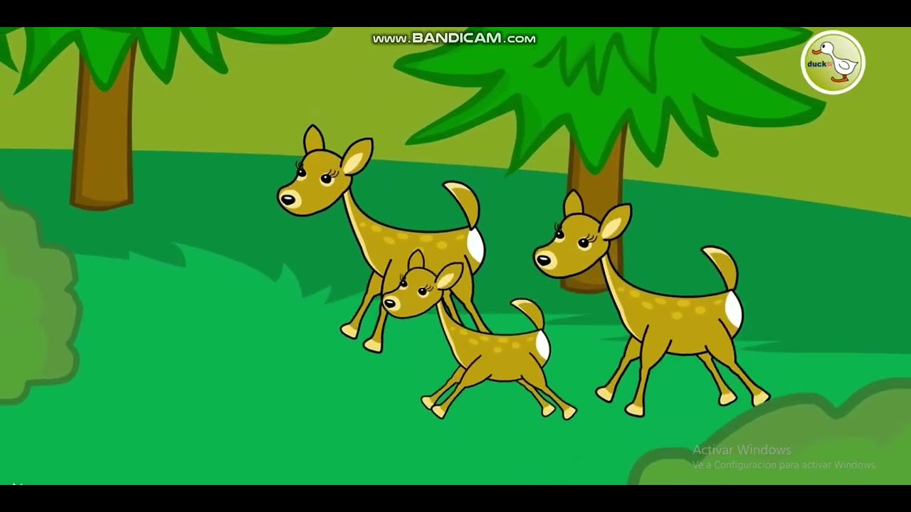 Monica and Rudy 2 Learn with ducktv ducktv