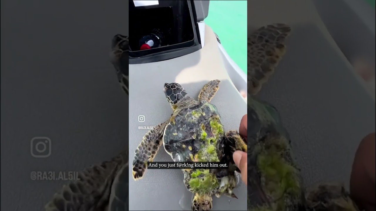Removing Barnacles - Ozzy Man Quickies