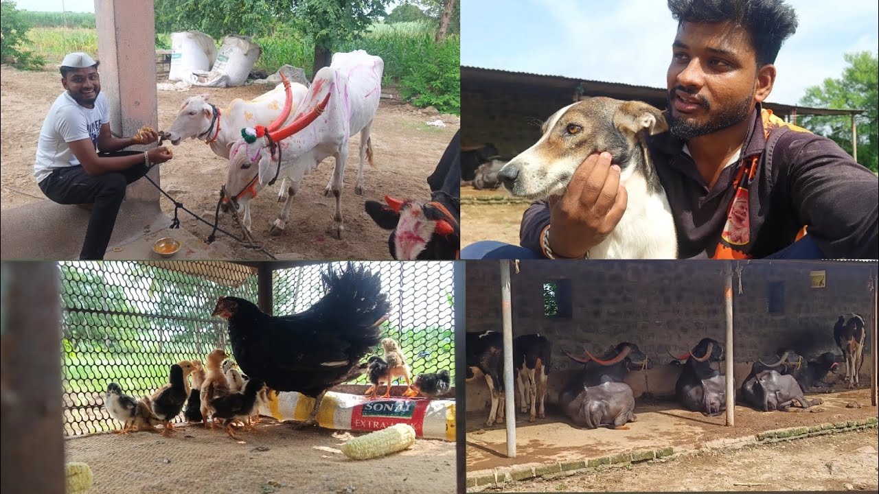 🐂बैलपोळ्या निमित्त गावातल्या सर्व देवा चं दर्शन🌺