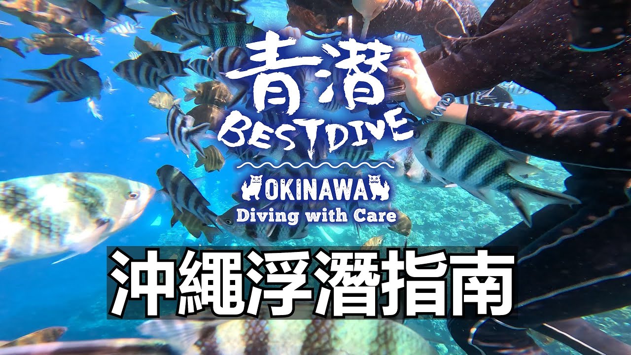 【#青潛】#沖繩中文潛水 沖繩浮潛指南 | 如何佩戴和使用浮潛裝備 （中文字幕）