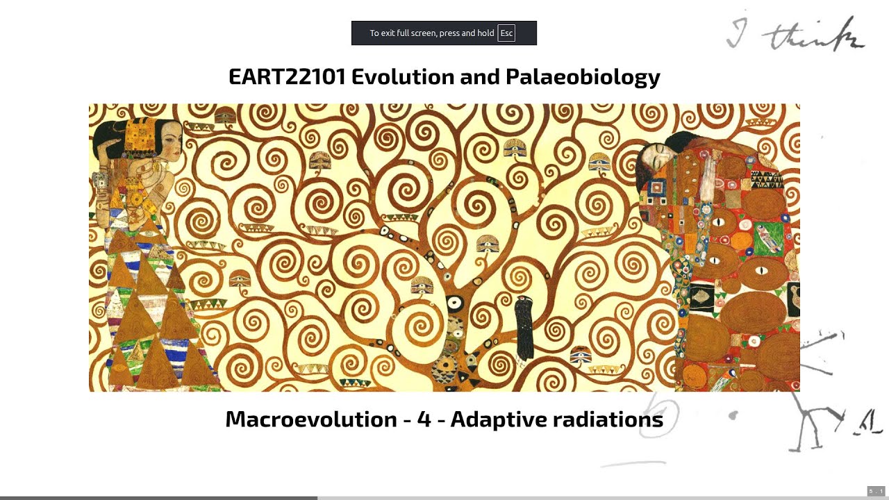Macroevolution, Video 4 - EART22101 - Palaeobiology and Evolution - 2025
