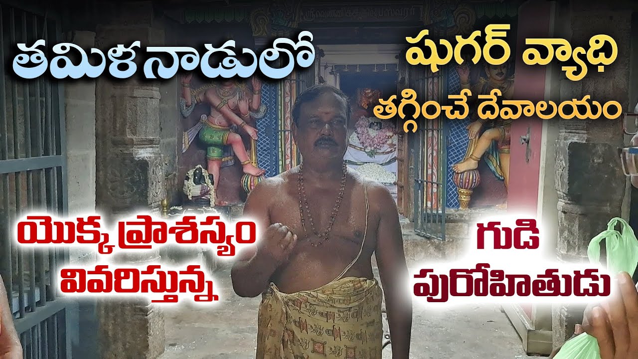తమిళనాడులో షుగర్ వ్యాధి తగ్గించే దేవాలయం యొక్క ప్రాశస్యం వివరిస్తున్న గుడి పురోహితుడు#short#temple  